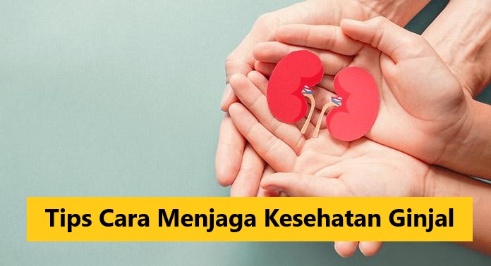 Tips Cara Menjaga Kesehatan Ginjal